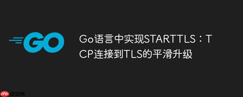 Go语言中实现STARTTLS:TCP连接到TLS的平滑升级