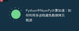 Python中NumPy计算加速：如何利用多进程避免数据拷贝瓶颈