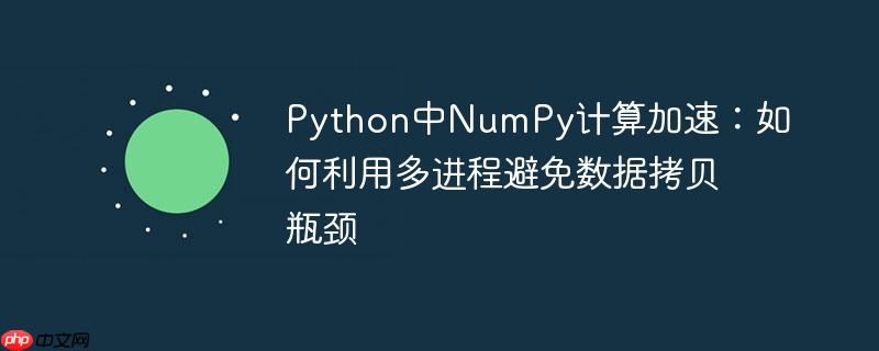 Python中NumPy计算加速:如何利用多进程避免数据拷贝瓶颈