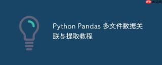 Python Pandas 多文件数据关联与提取教程