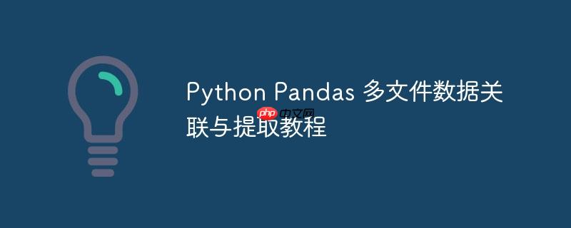 Python Pandas 多文件数据关联与提取教程