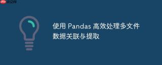 使用 Pandas 高效处理多文件数据关联与提取