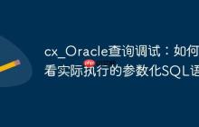 cx_Oracle查询调试：如何查看实际执行的参数化SQL语句