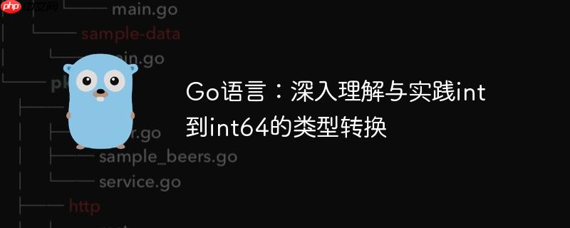 Go语言:深入理解与实践int到int64的类型转换