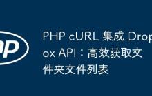 PHP cURL 集成 Dropbox API：高效获取文件夹文件列表