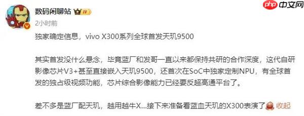 2025“拍照最强”的手机：vivo X300 Pro 2亿像素成旅拍神器