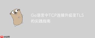 Go语言中TCP连接升级至TLS的实践指南