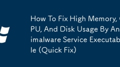 So beheben Sie hohe Speicher-, CPU- und Festplattennutzung durch ausführbare Datentr?ger von Antimalware -Dienst (Schnellfix)