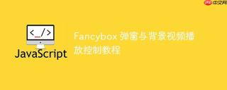 Fancybox 弹窗与背景视频播放控制教程