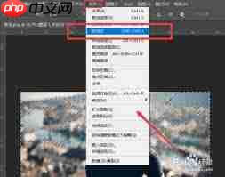 PS如何调亮背光图片