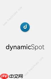 如何设置 dynamicSpot 的灵动岛功能