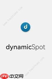 如何设置 dynamicSpot 的灵动岛功能