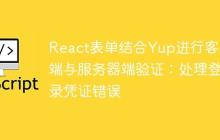 React表单结合Yup进行客户端与服务器端验证：处理登录凭证错误