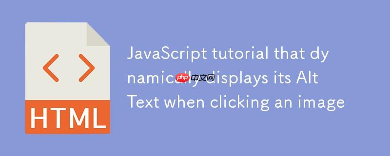 在点击图片时动态显示其替代文本(Alt Text)的JavaScript教程