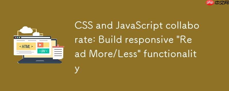 CSS与JavaScript协同:构建响应式“阅读更多/更少”功能