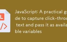 JavaScript:捕获点击段落文本并作为可用变量传递的实用指南