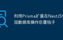 利用Prisma扩展在NestJS中实现数据库操作后置钩子
