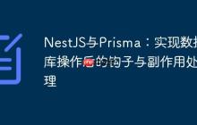 NestJS与Prisma：实现数据库操作后的钩子与副作用处理