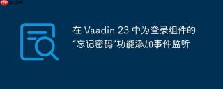 在 Vaadin 23 中为登录组件的“忘记密码”功能添加事件监听