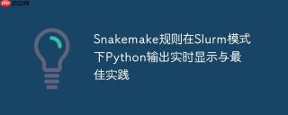 Snakemake规则在Slurm模式下Python输出实时显示与最佳实践