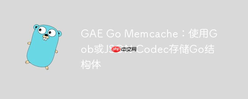 GAE Go Memcache：使用Gob或JSON Codec存储Go结构体