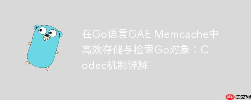 在Go语言GAE Memcache中高效存储与检索Go对象:Codec机制详解