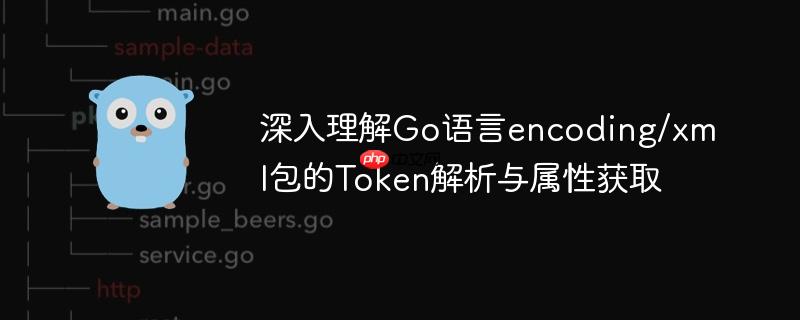 深入理解Go语言encoding/xml包的Token解析与属性获取