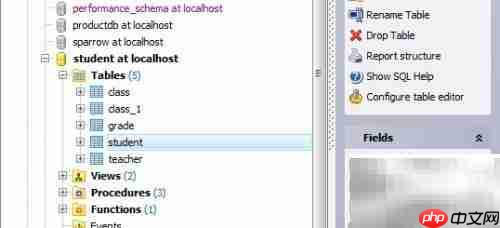 Maestro复制数据库表指南