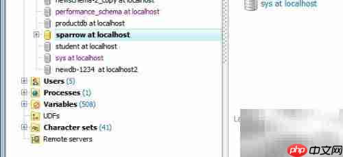 Maestro复制数据库表指南