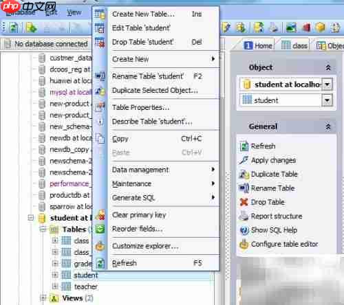 Maestro复制数据库表指南