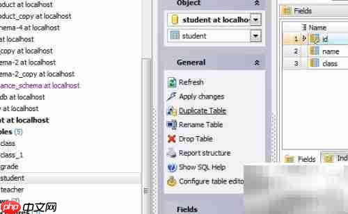 Maestro复制数据库表指南