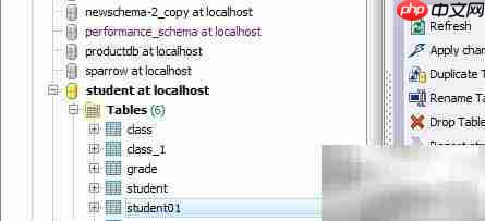 Maestro复制数据库表指南