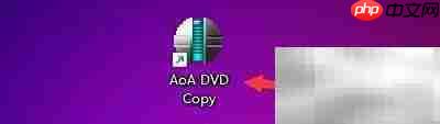 AoA DVD拷贝文件方法