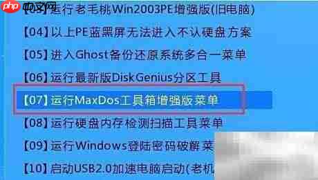 老毛桃GDISK自动分区教程