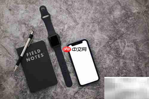 快速提升记忆力的秘诀