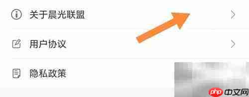 晨光联盟查看指南