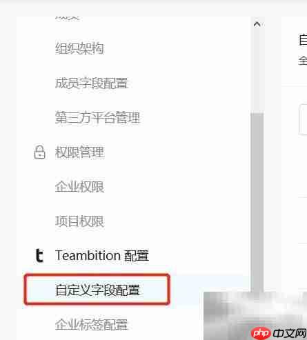Teambition创建企业字段指南
