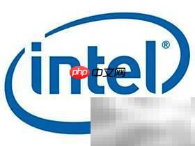 Intel产品识别技巧