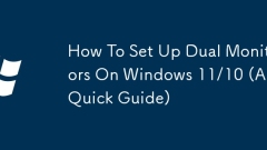 So richten Sie Doppelmonitore unter Windows 11/10 ein (eine schnelle Anleitung)