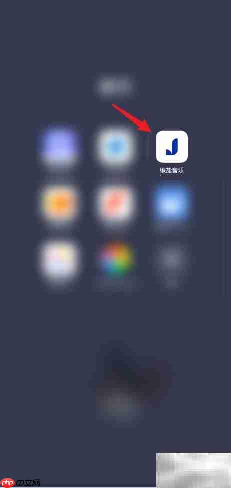 椒盐音乐如何查看歌曲路径