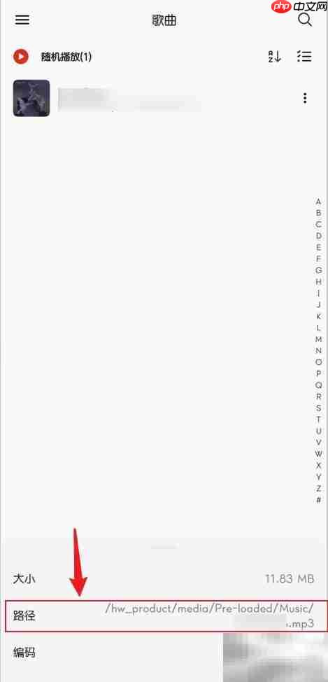 椒盐音乐如何查看歌曲路径