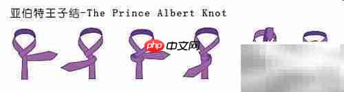 梦芭莎十大领带打法图解