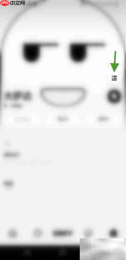 Any如何开启私聊？