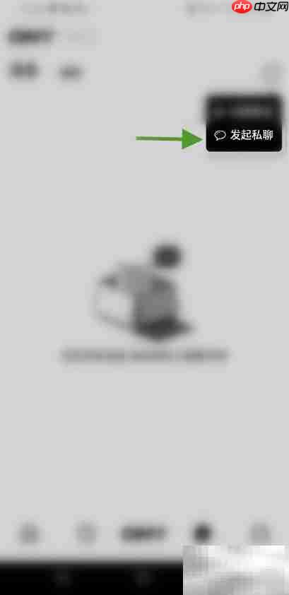 Any如何开启私聊？