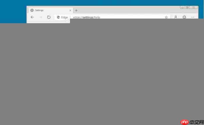 新版Edge浏览器可以安装于win7系统