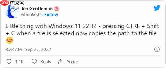 Win11 22H2小技巧：CTRL+Shift+C组合键可轻松复制文件路径