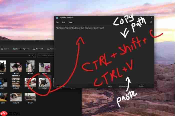 Win11 22H2小技巧：CTRL+Shift+C组合键可轻松复制文件路径