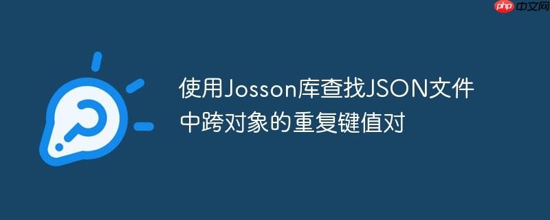使用Josson库查找JSON文件中跨对象的重复键值对