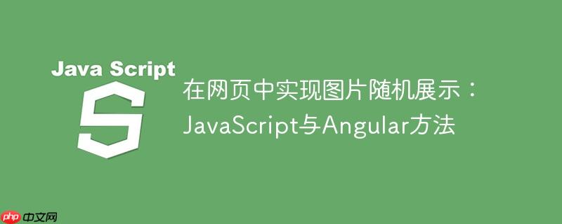在网页中实现图片随机展示:JavaScript与Angular方法