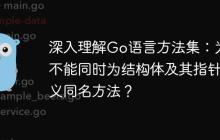 深入理解Go语言方法集：为何不能同时为结构体及其指针定义同名方法？